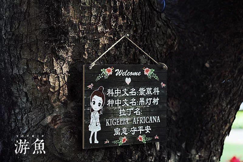 你在农村的家有多少亩地？你们家里人是怎样使用它的？